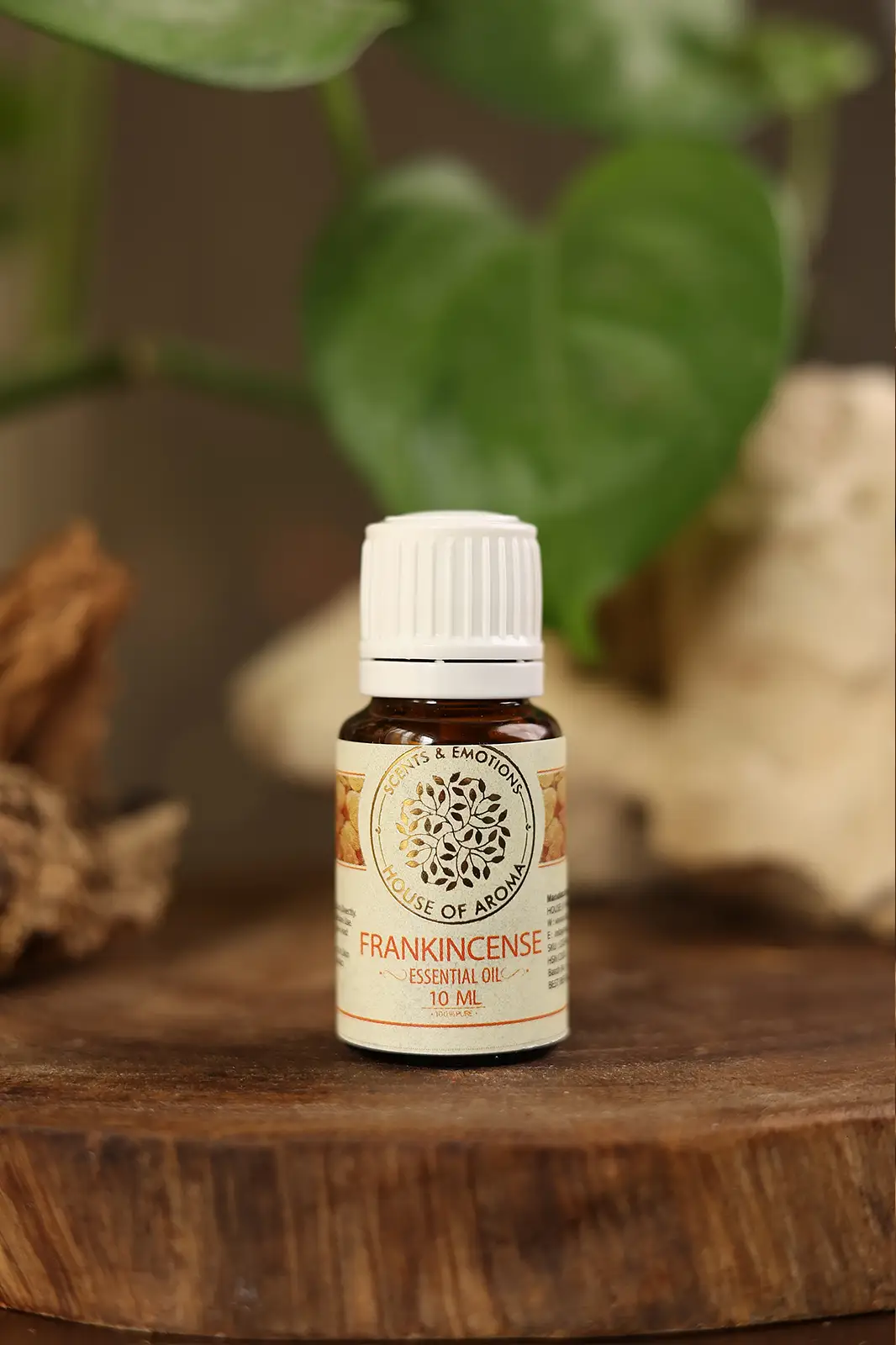 Frankincense Essential Oil For Skin Repair